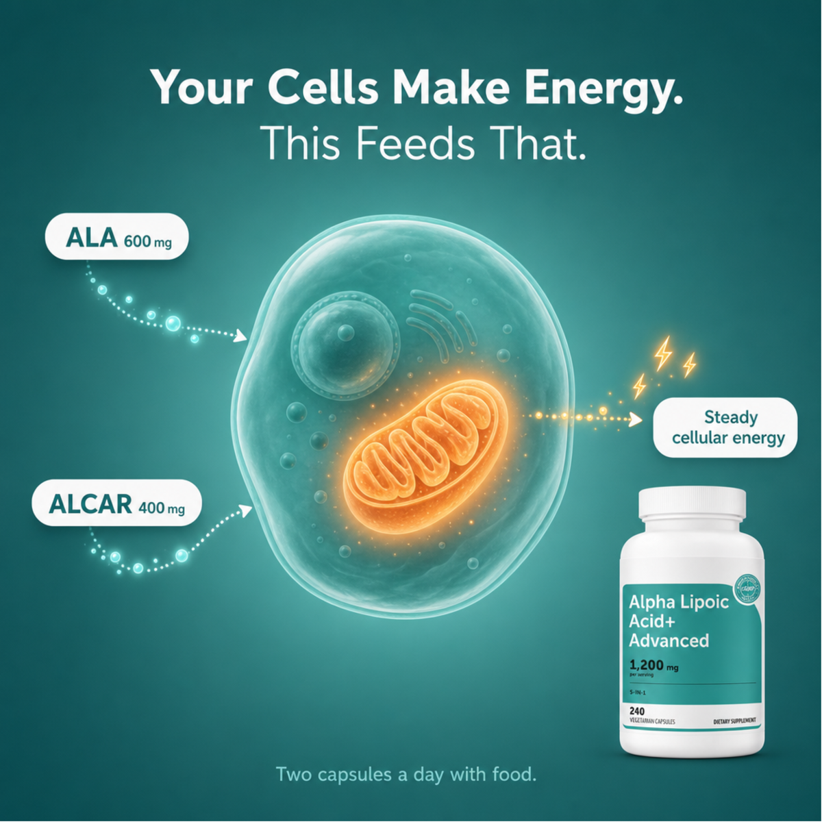 Alpha Lipoic Acid 1,200mg – 240 Vegetarian Capsules