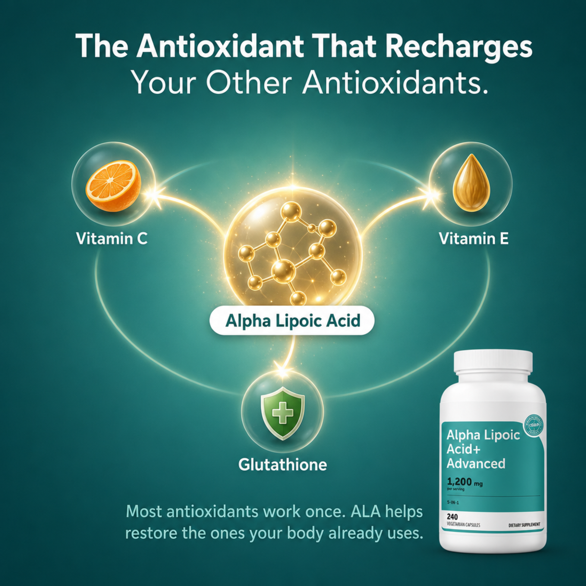 Alpha Lipoic Acid 1,200mg – 240 Vegetarian Capsules