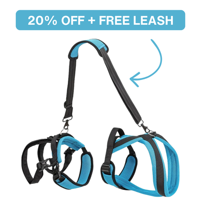 Halynsa Mobility Harness
