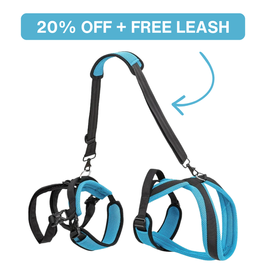 Halynsa Mobility Harness