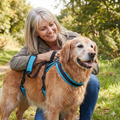 Halynsa Mobility Harness