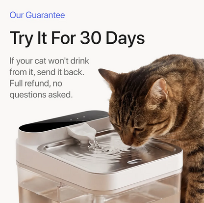 Purestream Hygienic Cat Fountain