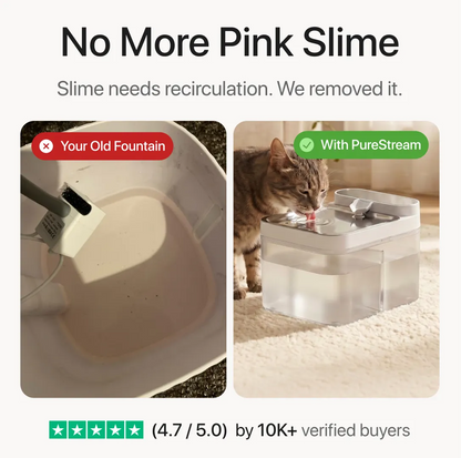 Purestream Hygienic Cat Fountain