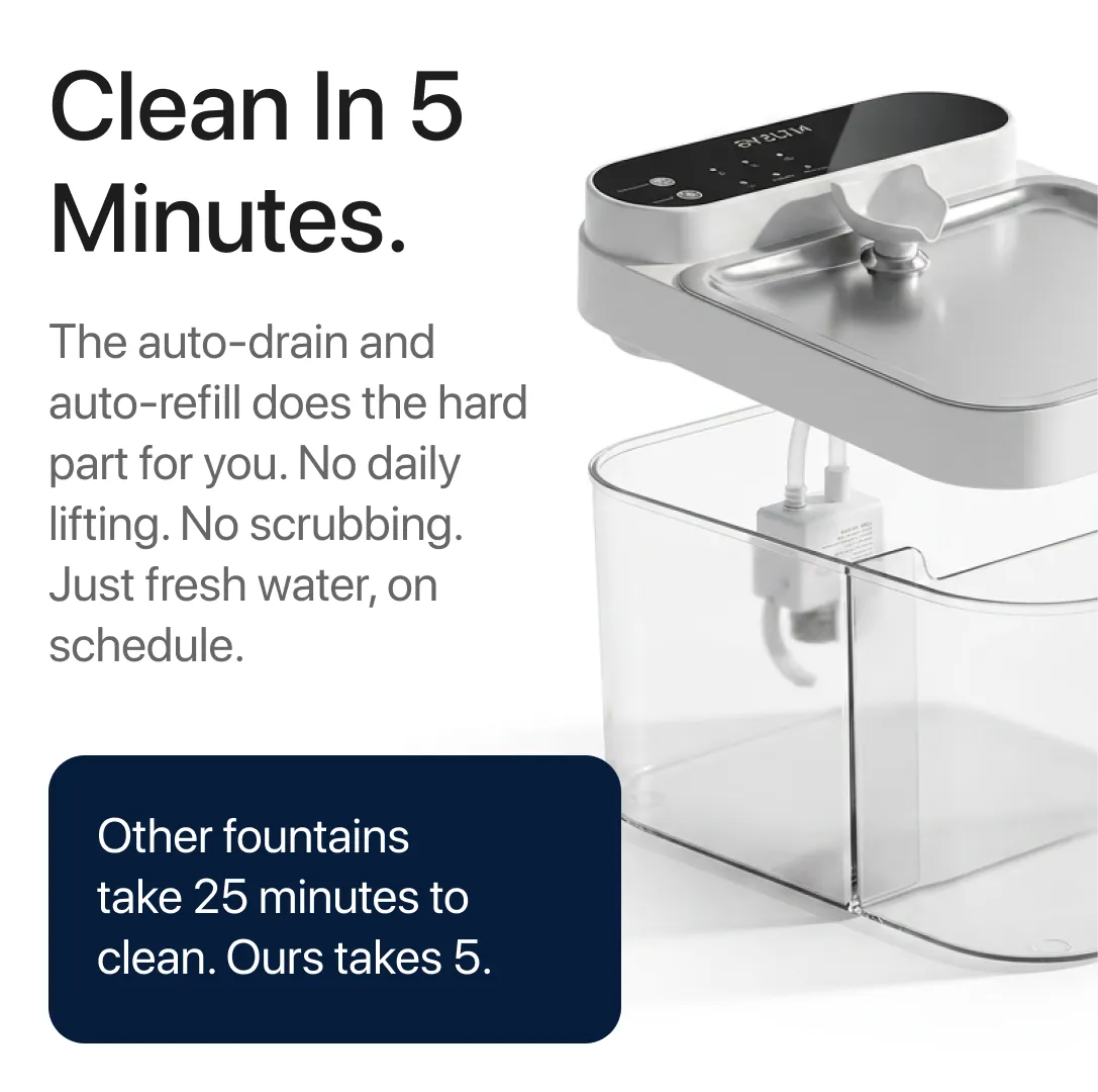 Purestream Hygienic Cat Fountain