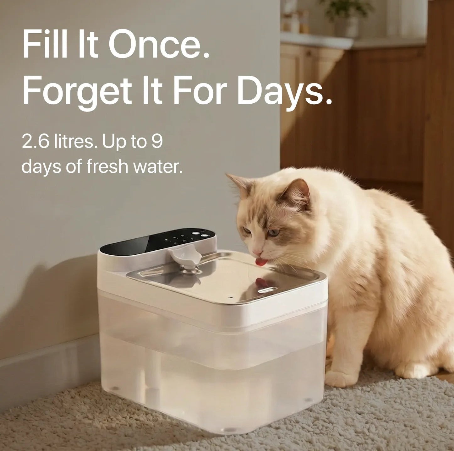 Purestream Hygienic Cat Fountain
